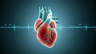 New US Cholesterol Guidelines: Why Indians Should Start Screening at 19