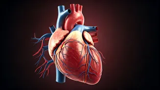 Heart Attack Symptoms: Beyond Chest Pain