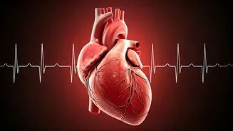 Cardiologist's Secrets: Ageing Gracefully & Healthily