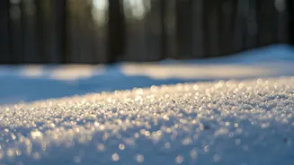 Unveiling the Risks: Is Eating Snow Safe for You?