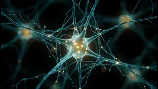 Why brain cell skeleton structure integrity determines resilience against neurodegenerative illnesses