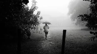 IMD warns of heavy rain in eastern and northeastern states