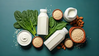 Milk Price Hike in India: Exploring Nutritious Calcium Alternatives