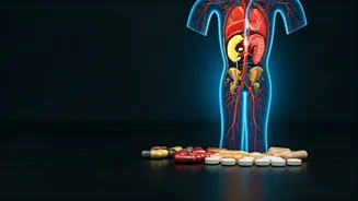 Hormonal Harmony: 7 Supplements Recommended by Gynecologists