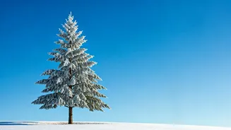 Cold Escapes Are The New Summer Survival Hack