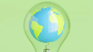 Cheaper Green Jet Fuel Remains A Possibility, Not A Market Reality