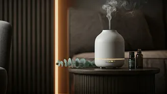 5 Budget-Friendly Hacks for a Luxurious Home Scent Experience