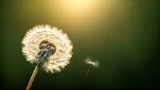 Related Stories banner