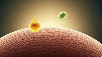 Unmasking Dandruff: Beyond Hygiene, Targeting the Root Cause for a Flake-Free Scalp