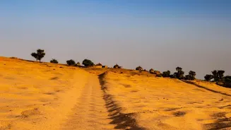 Exploring Rajasthan by car: Essential stops between Jaipur, Jodhpur, and Jaisalmer this early winter season