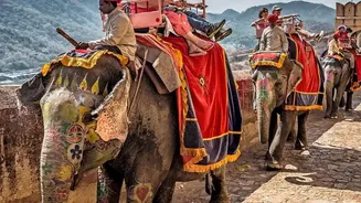 What The Rise Of Travel Research Means For Indian Tourists