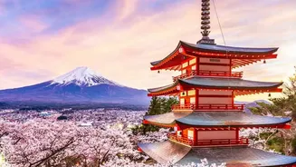 Delhi Travellers Can Join IRCTC's 10-Day Japan Tour With Flights And Guided Sightseeing