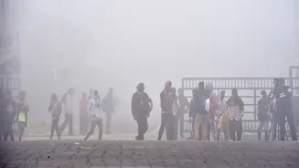 Weather update: Dense fog persists in parts of Punjab, UP and Haryana; flights delayed
