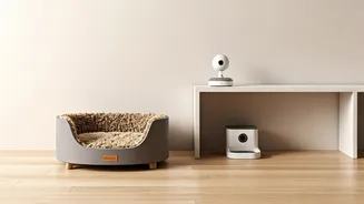 Pet Beds Are Not Enough Anymore