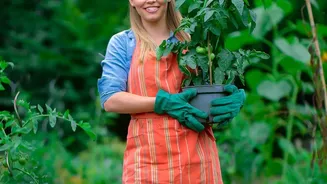 The Basic Care Routine For Potted Lemon Plants: A Closer Look
