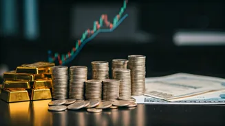 Top Investment Ideas to Consider