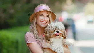 Humidity Alert For Pet Owners: Steps To Reduce Skin Problems At Home