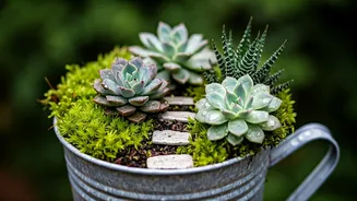 Creative ways to garden in small spaces