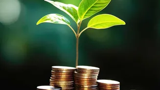 Save Ten Percent Monthly In Liquid Funds To Prepare For Sudden Career Changes