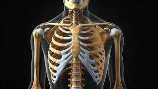 Calcium Deficiency: Unseen Symptoms & Serious Risks