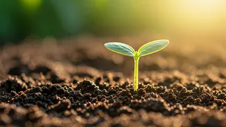 Embracing New Beginnings: A Fresh Start