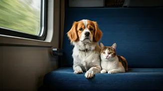 Voyaging with Your Furry Friends: Indian Railways Pet Travel Guide & Regulations