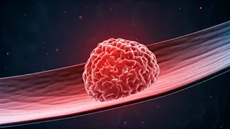 Space Clots: The Hidden Danger of Weightless Blood Flow for Astronauts