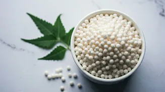 Unlock Radiant Skin This Navratri: Sabudana's Secret Beauty Benefits Revealed!