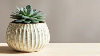 DIY Planters Are The Soft Decor Flex