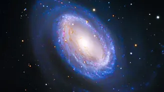 Understanding Hubble Clues to Galaxy Evolution with Hubble's Andromeda Star-Formation Study