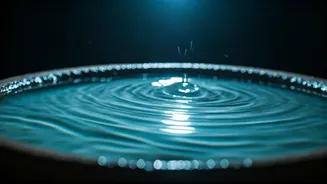 The Divine Elixir: Unraveling the Sacredness of Ganga Jal