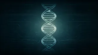 Why Science Backed Longevity Rules Indian Social Media
