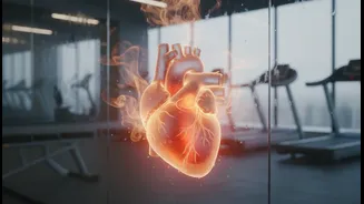 How Monsoonal Air Infiltration Inside Gyms Forces The Human Heart To Work Harder For Cooling