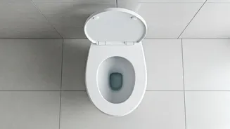 Unveiling Your Toilet: Health Insights!
