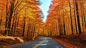 Unforgettable Family Getaways: Autumn Adventures