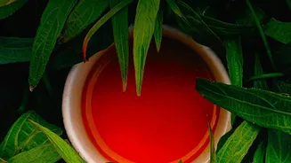 Nilgiri tea: A low-sugar refreshing drink
