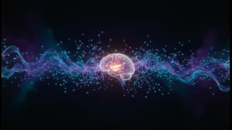 How newly discovered cerebellar network nodes regulate emotional responses linked to movement