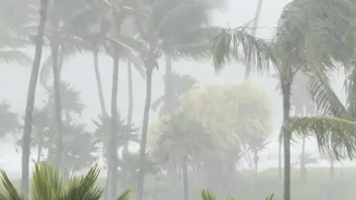 IMD Did Issue Alerts, but Their Timing Is Now Being Examined