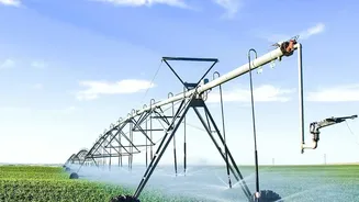 Use the Reservoir Only after the Plant Is Established if Guidance Recommends It