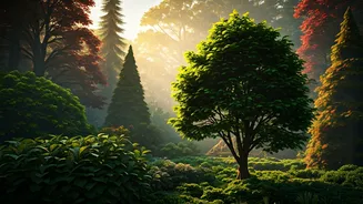 Thriving Trees: 6 Disease-Resistant Varieties for Effortless, Enduring Landscapes