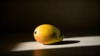 Final Mango Wave Hits Indian Homes