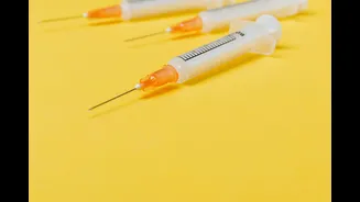 A ray of hope: Tokyo’s Nipah virus vaccine set for human trials in April