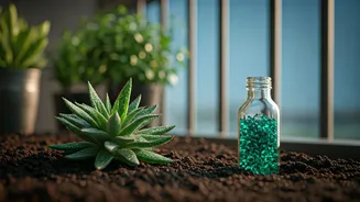 Use Liquid Seaweed Fertilizer To Save Your Balcony Plants