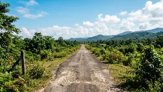 Rupsi Assam Travel Searches: Flight Searches for Rupsi Rose 502% in Skyscanner Data