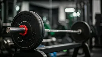 Ranbir Kapoor's Fitness Secrets: The Journey to a Film-Ready Physique