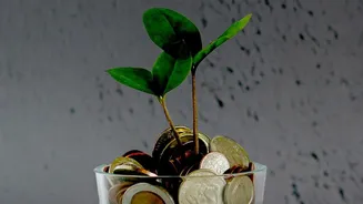 Why Young Professionals Prefer Low Cost Index Funds For Their First Monthly SIP