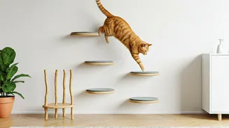 Spoil Your Feline Friend With Multi-Level Wall Climbing Paths At Home