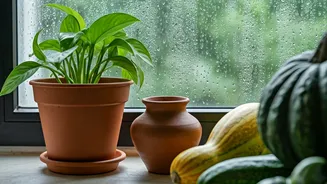 Sustainable Living Starts With Monsoon Choices