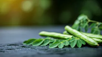 Moringa: Nature's Secret to Radiant Skin