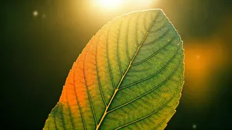 Seasonal Changes